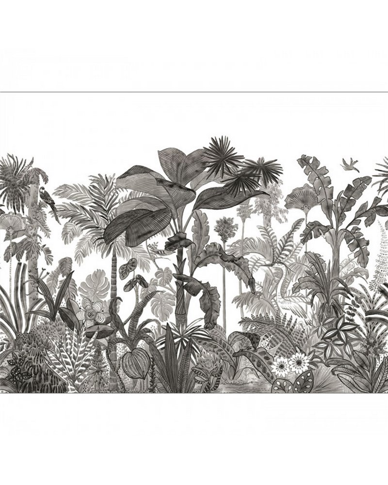 Exotica Noir Et Blanc 104120912 Exotica Noir Et Blanc 104120912