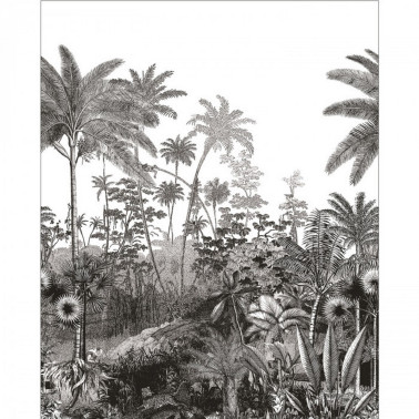 Fantastic Noir Et Blanc 104150945
