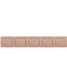 A Hint of Blush DOM1001