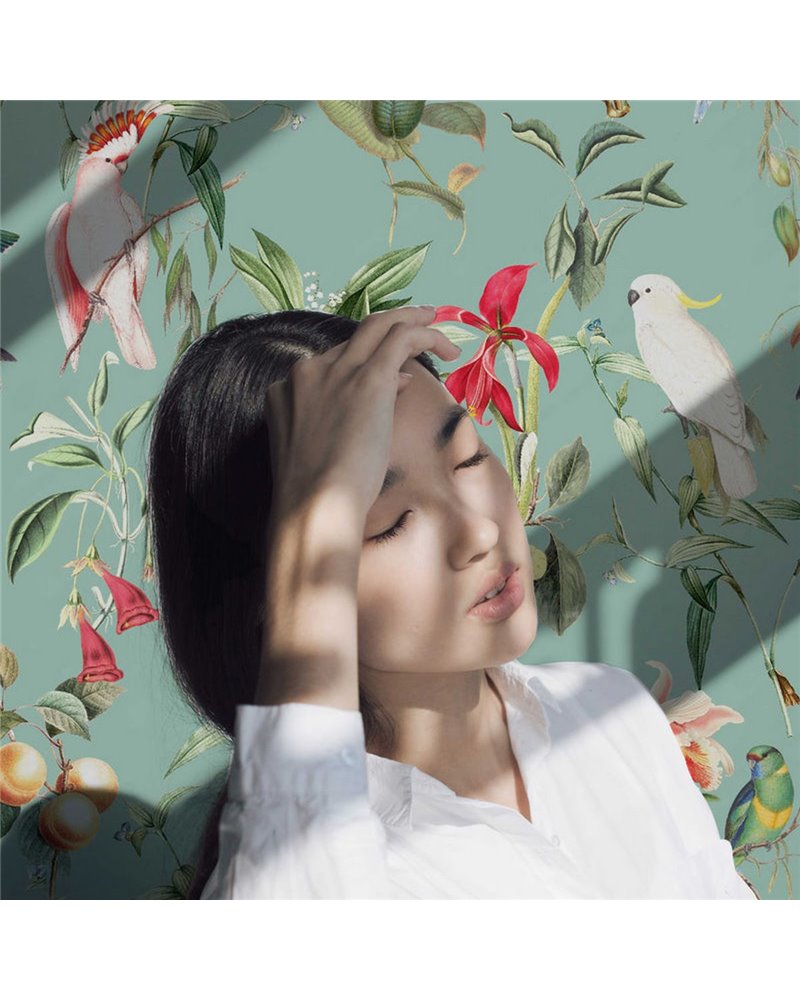 WALLPAPER - BIRDS OF PARADISE - SEA MINT WALLPAPER - BIRDS OF PARADISE - SEA MINT