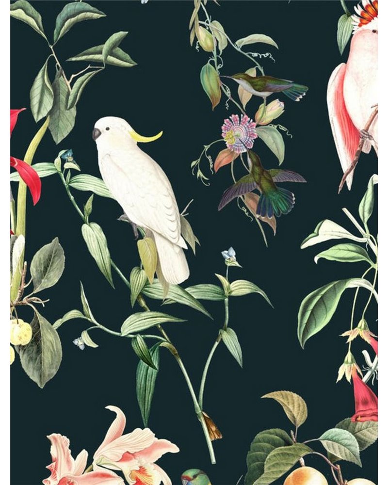 WALLPAPER - BIRDS OF PARADISE - DEEP TEAL