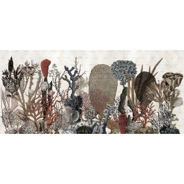 Coralfull WET_CO1601