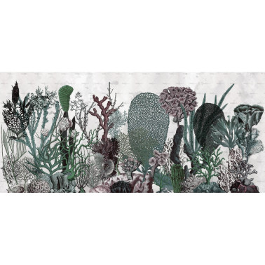 Coralfull WET_CO1602
