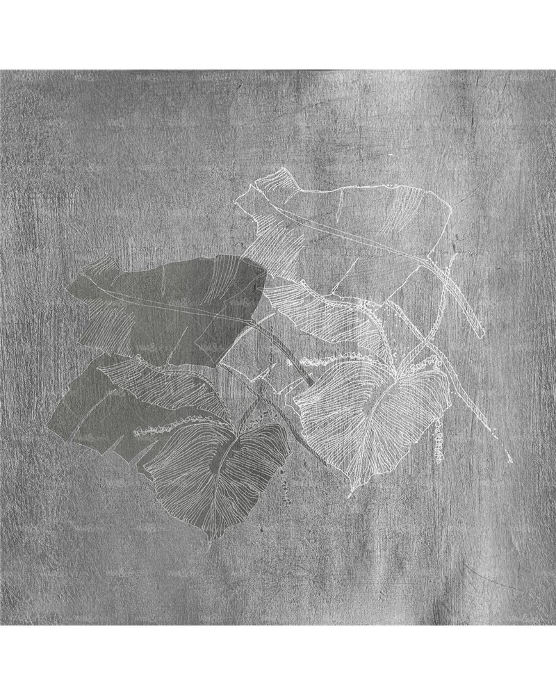 Biophilia WET_BI1902 Biophilia WET_BI1902