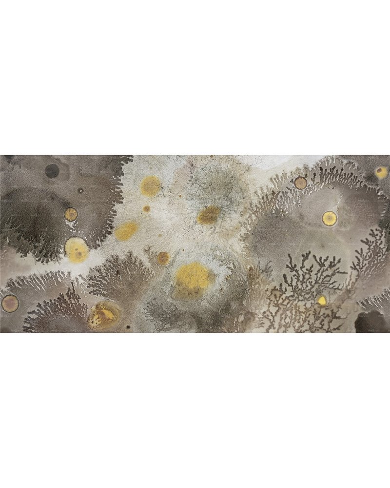 Mufarina WET_MU2101 Mufarina WET_MU2101