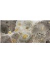 Mufarina WET_MU2101