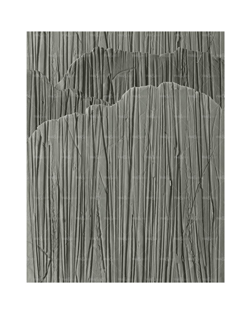 STELI WET_ST2202 STELI WET_ST2202