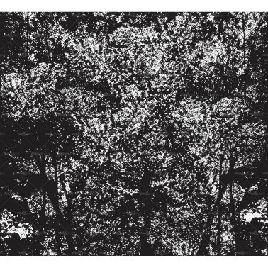 In the Bush OUT_TB2001
