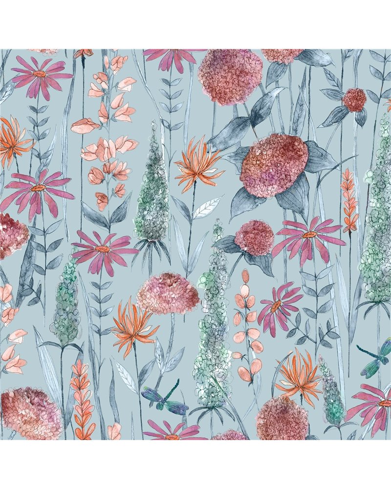 Florabunda Cornflower Florabunda Cornflower