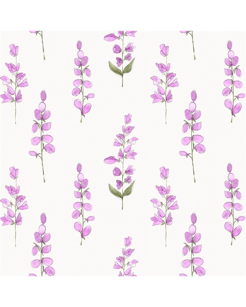Helaine Fuchsia Helaine Fuchsia