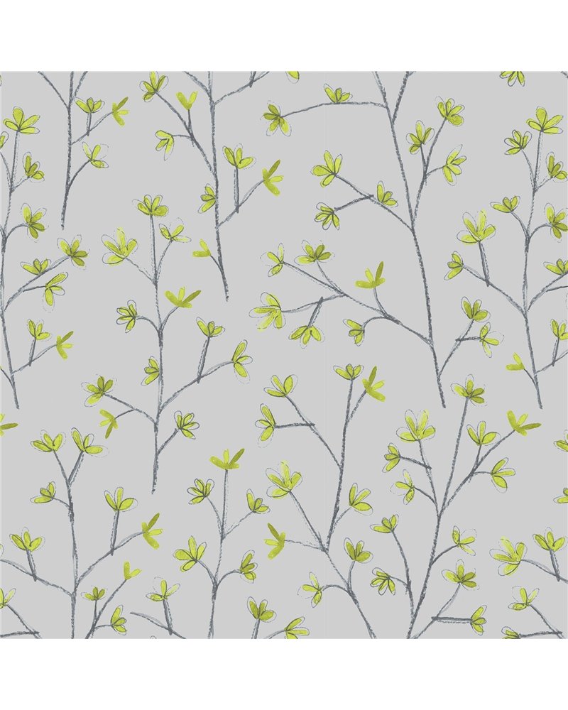 Ophelia Lime Ophelia Lime