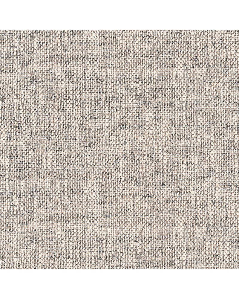 354419 354419