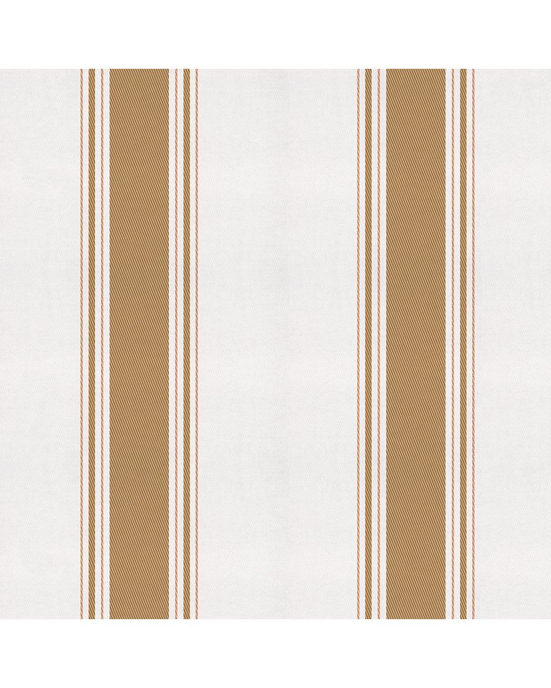 Stripe 5 Curry A00730 Stripe 5 Curry A00730