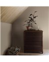 Woodland Stripe 4718.jpeg