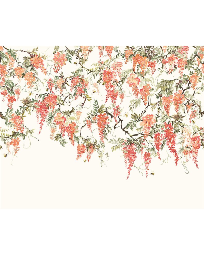 Trailing Wisteria Peach ICN50112M Trailing Wisteria Peach ICN50112M