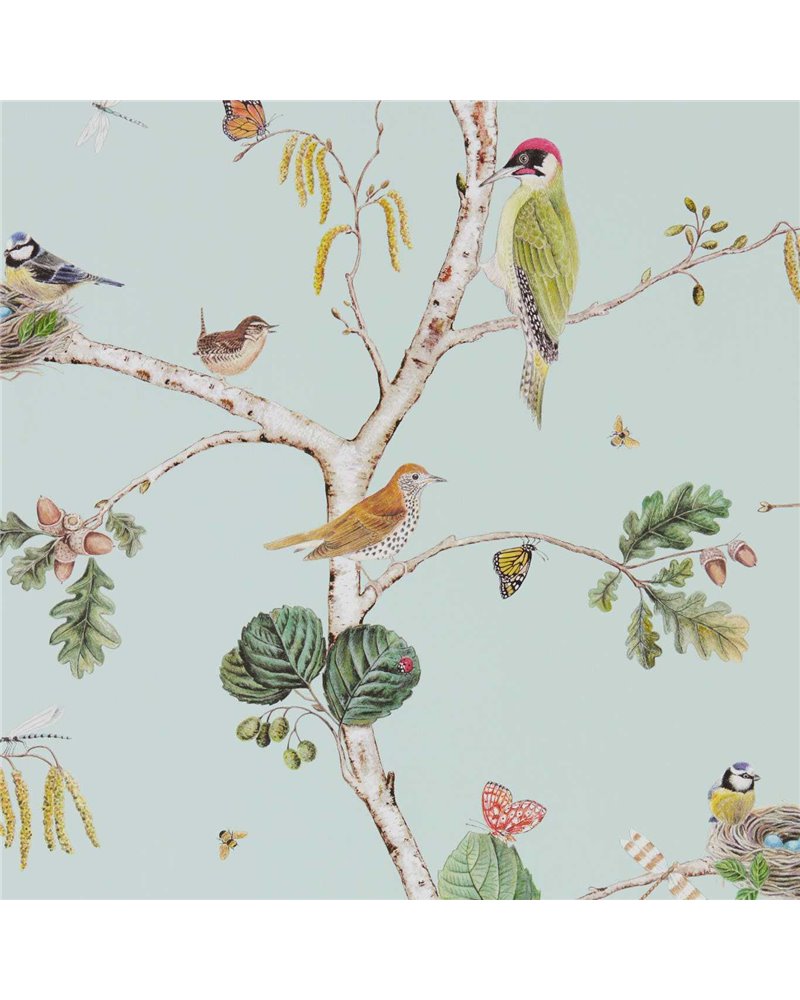 Woodland Chorus Sky Blue Multi DWOW215706 Woodland Chorus Sky Blue Multi DWOW215706