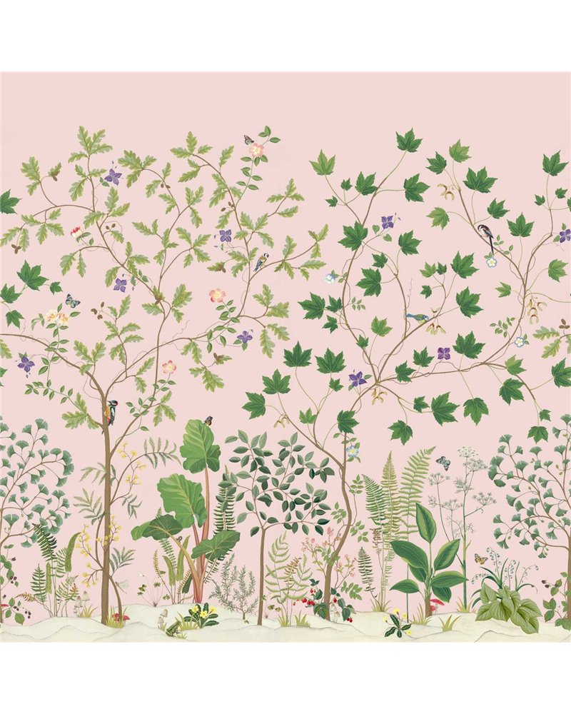 Sycamore And Oak Wild Rose DABW217213 Sycamore And Oak Wild Rose DABW217213