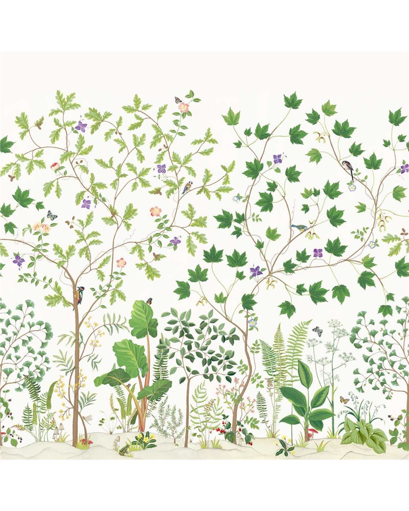 Sycamore And Oak Botanical Green DABW217211 Sycamore And Oak Botanical Green DABW217211