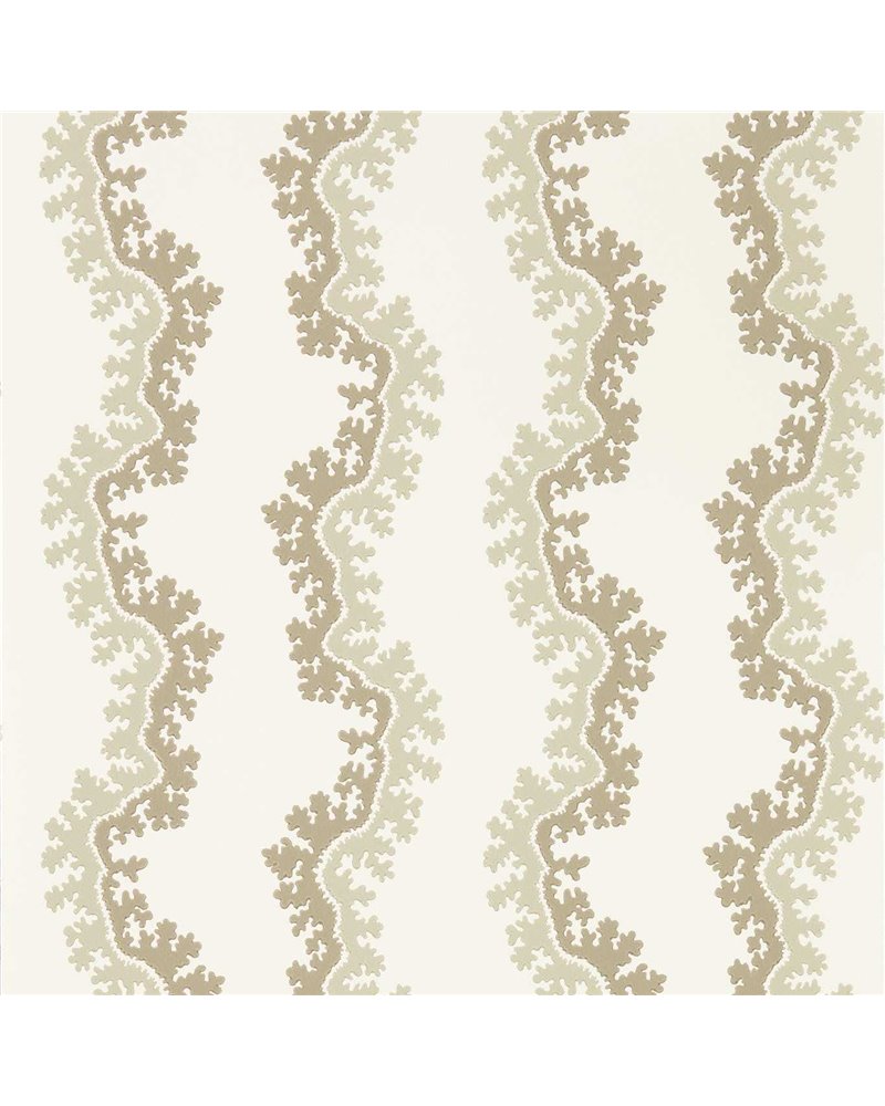 Oxbow Birch DABW217249 Oxbow Birch DABW217249