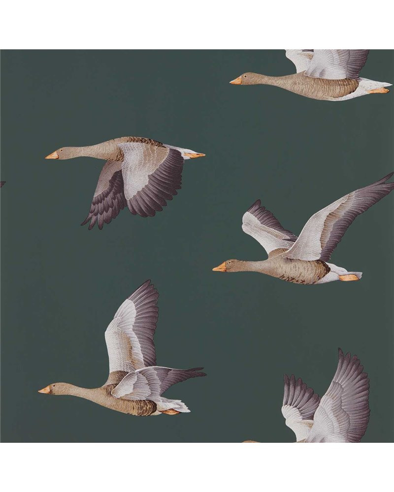 Elysian Geese Amsterdam Green DYSI216608 Elysian Geese Amsterdam Green DYSI216608