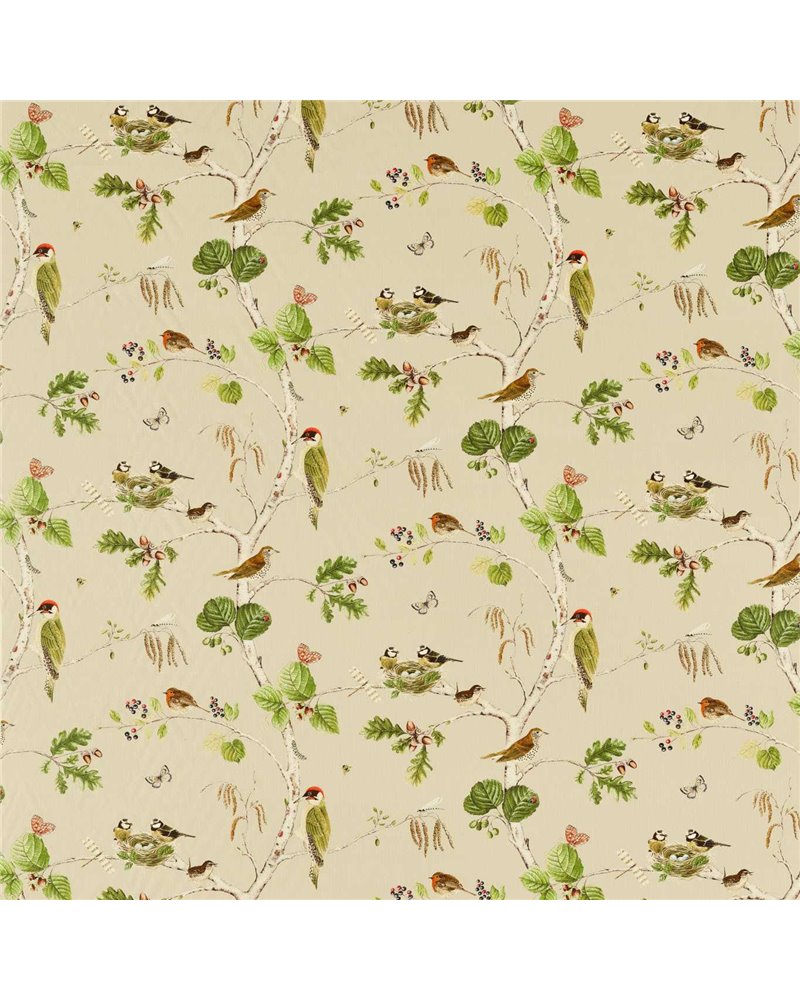 Woodland Chorus Birch Multi DARF227060 Woodland Chorus Birch Multi DARF227060
