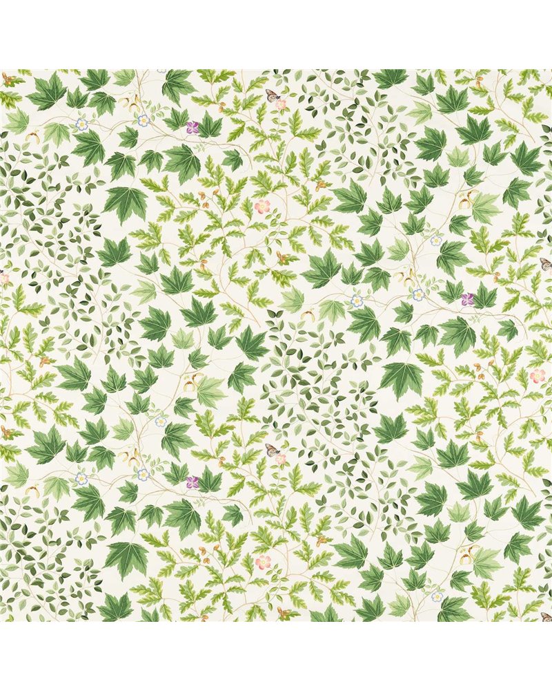 Sycamore and Oak Botanical Green DARF227073 Sycamore and Oak Botanical Green DARF227073