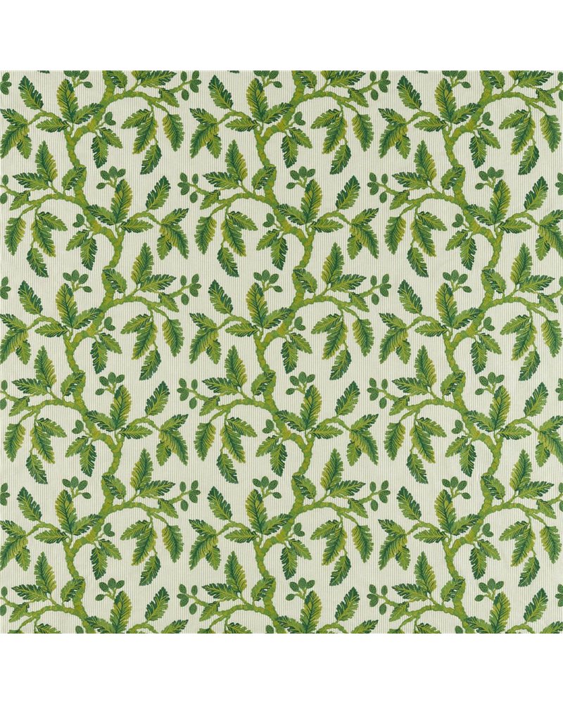 Oaknut Stripe Botanical Green DARF237321 Oaknut Stripe Botanical Green DARF237321