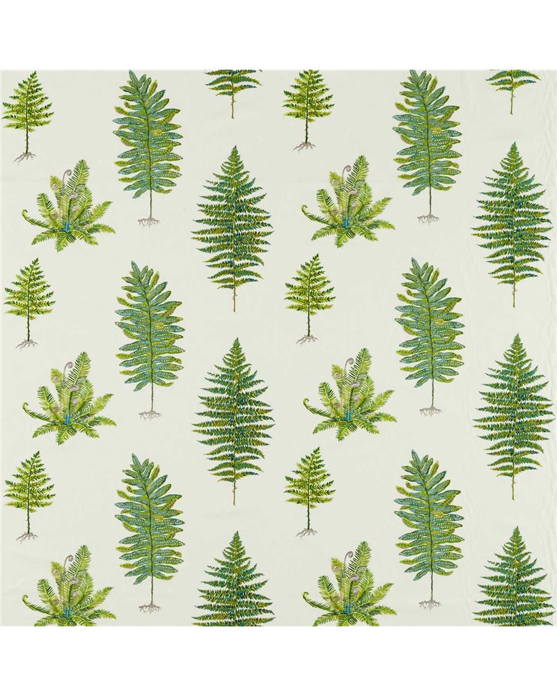 Fernery Embroidery Botanical Green DARF237319 Fernery Embroidery Botanical Green DARF237319