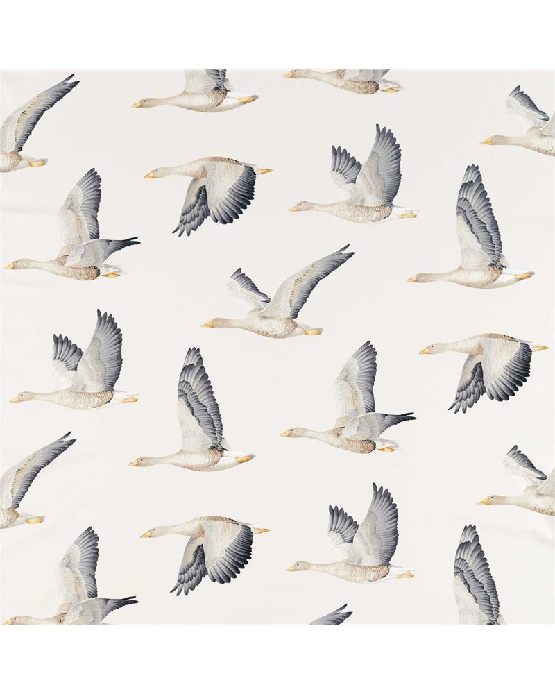 Elysian Geese Silver Chalk DYSI226520 Elysian Geese Silver Chalk DYSI226520