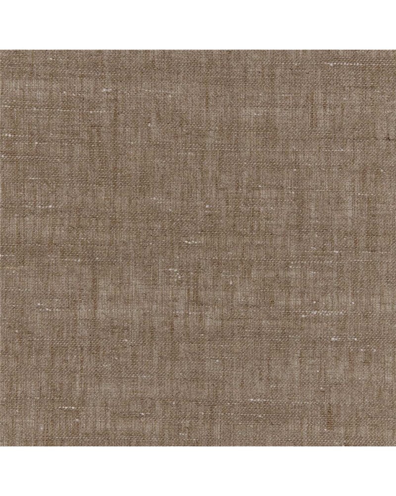 OCCHIEPPO-50 OCCHIEPPO-50