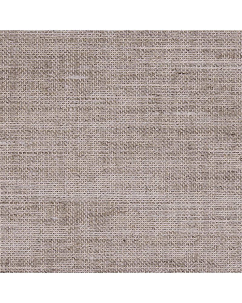 OCCHIEPPO-20 OCCHIEPPO-20
