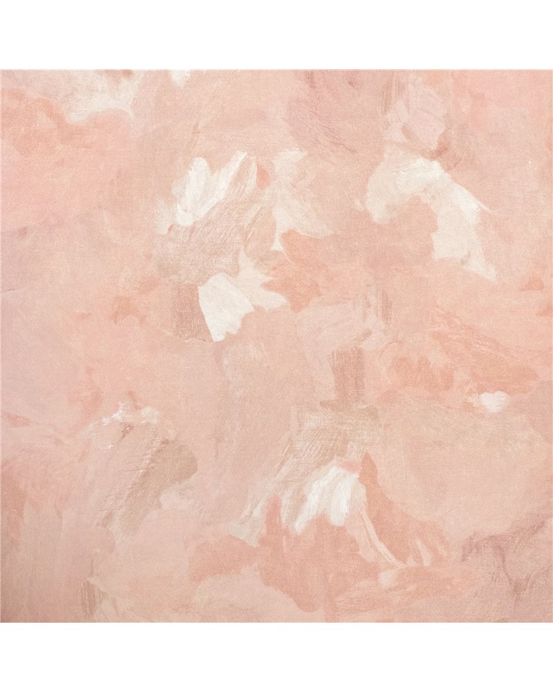 Paeonia Plain Blush 26912 Paeonia Plain Blush 26912