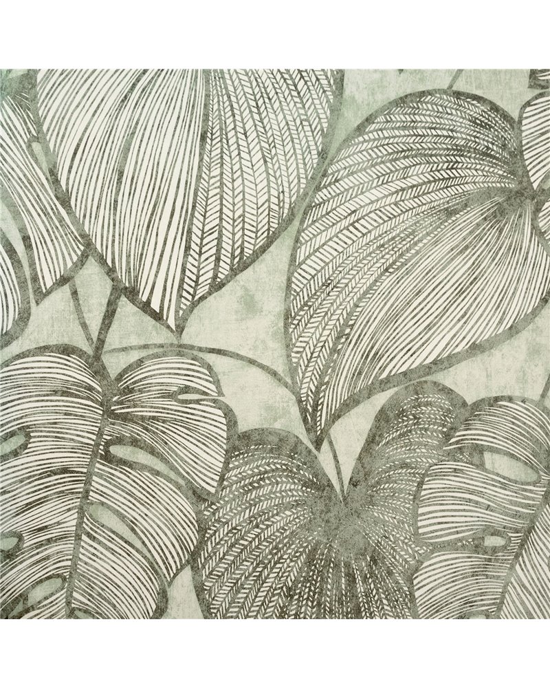 Monstera Olive Sage 26935 Monstera Olive Sage 26935