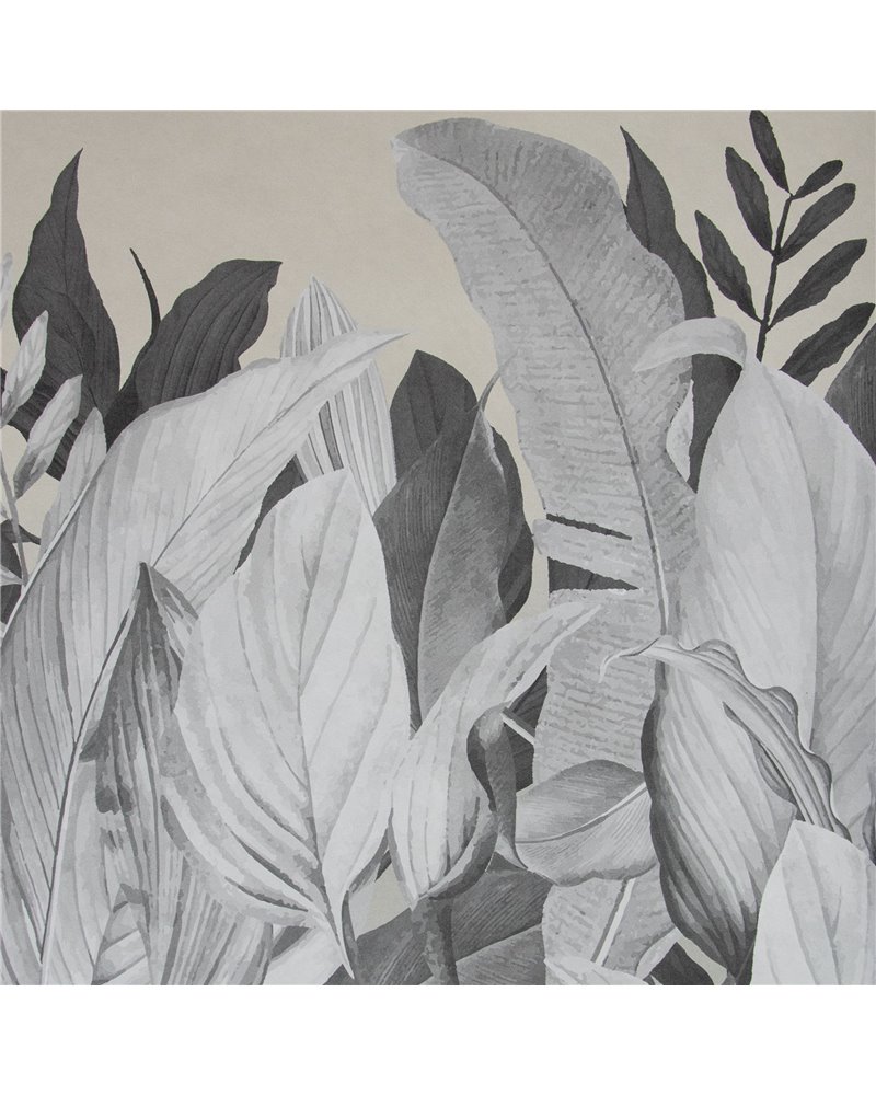 Tropical Forest Almond 18000 Tropical Forest Almond 18000
