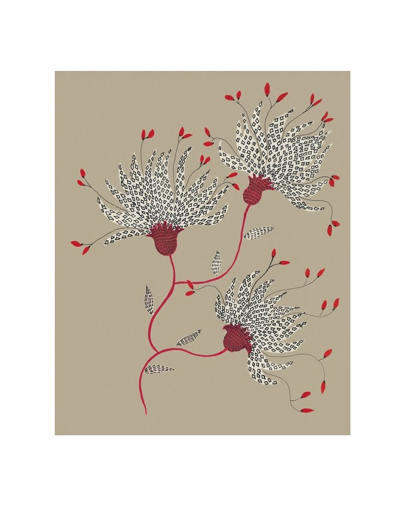 In choro florum WDCF2301 In choro florum WDCF2301