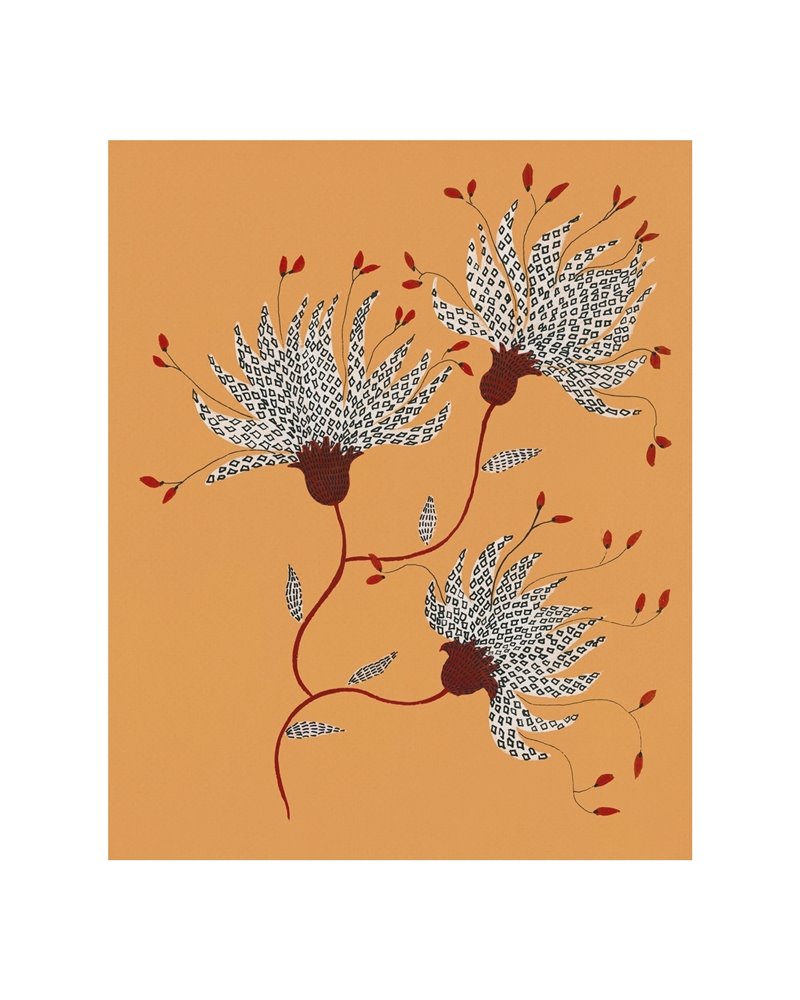 In choro florum WDCF2302 In choro florum WDCF2302