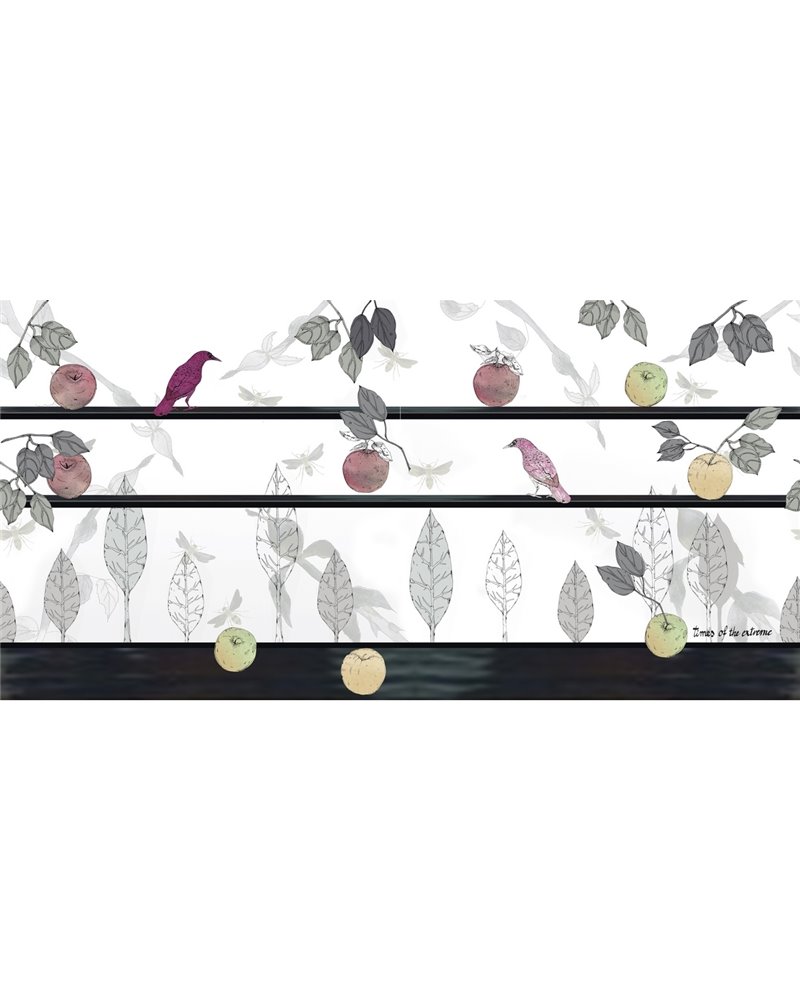Jeu de pommes WDJP2302 Jeu de pommes WDJP2302