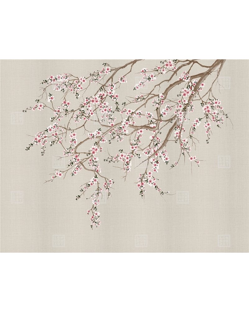 HAORI KMN05 E