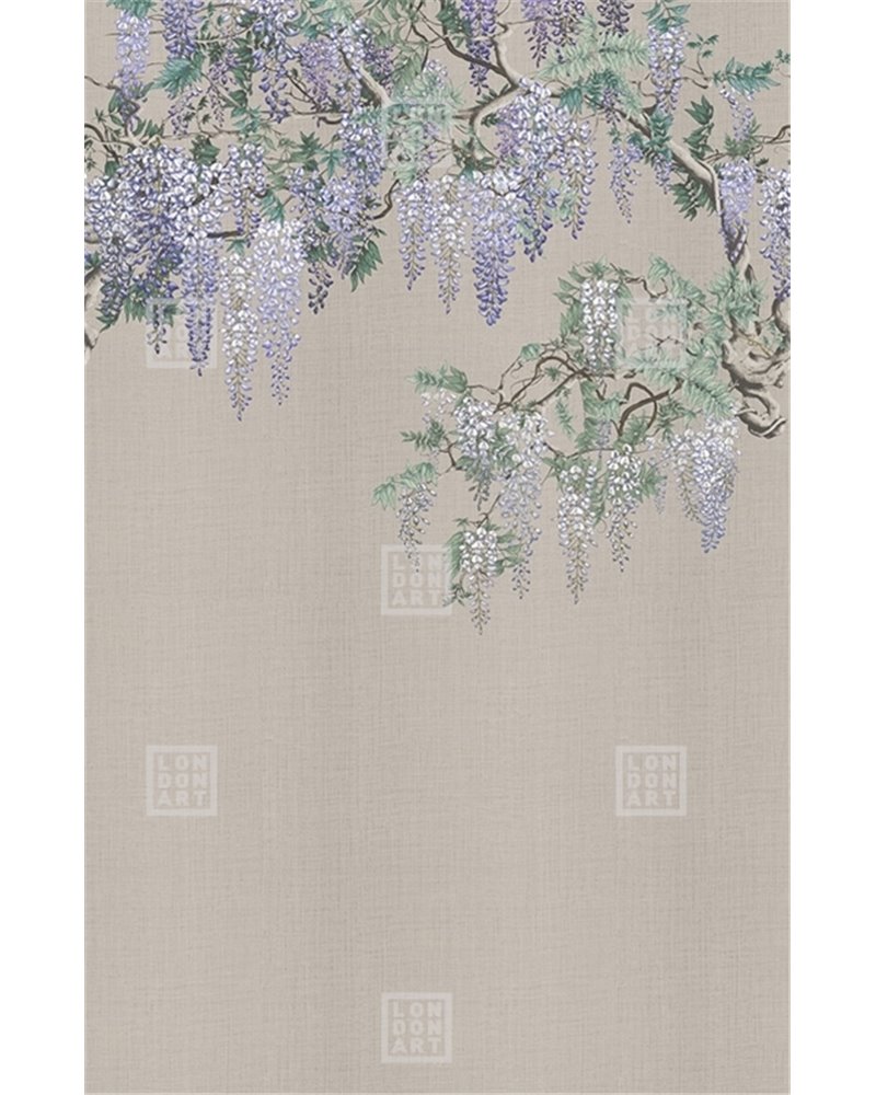IROMUJI KMN07 E