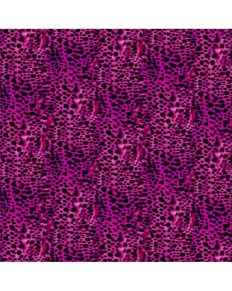 RC19223 RC19223