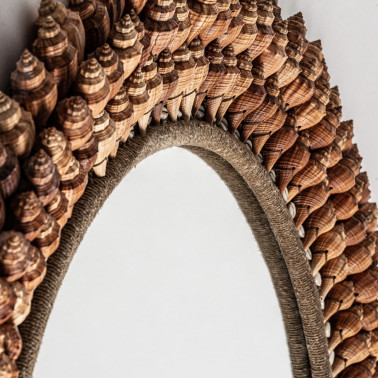 SPIEGELSCHNECKEN REF.-22468
