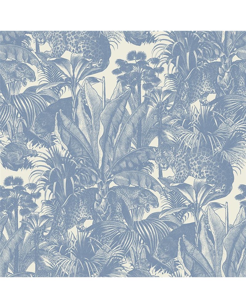 Faunacation Bombay Blue DVS123 Faunacation Bombay Blue DVS123