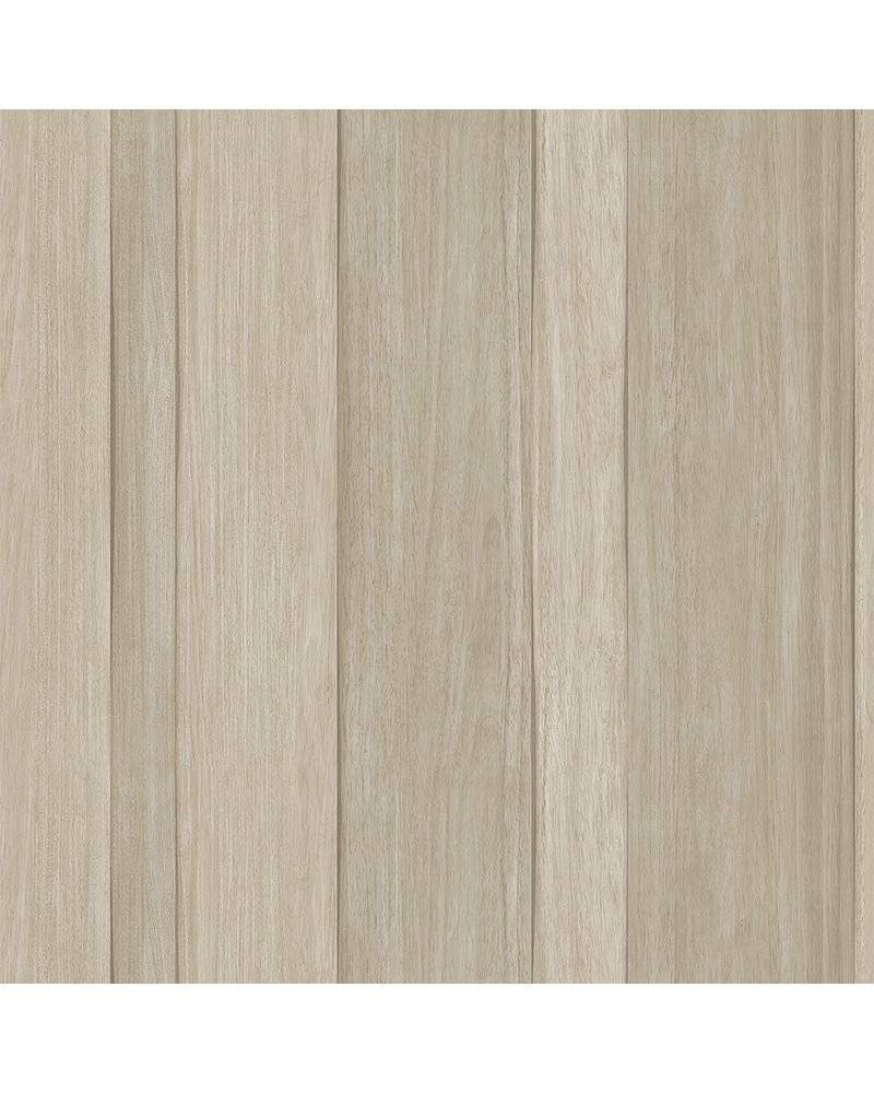 CL20807 CL20807