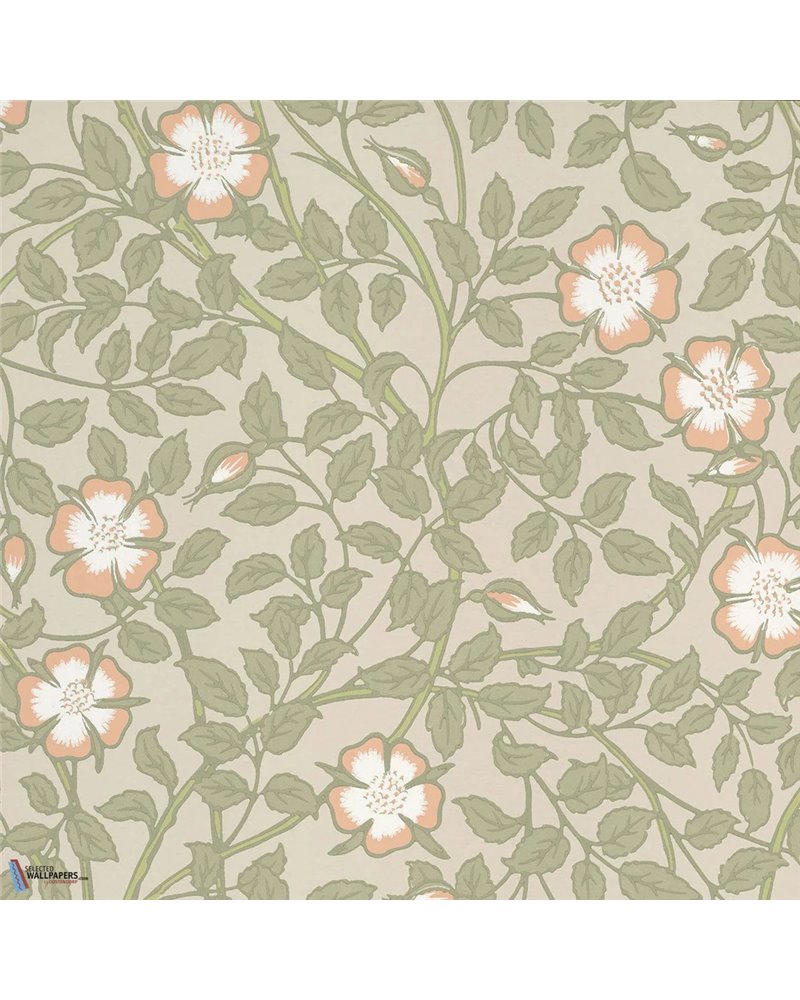 Briar Rose Green Mist 0263BRGMIST Briar Rose Green Mist 0263BRGMIST