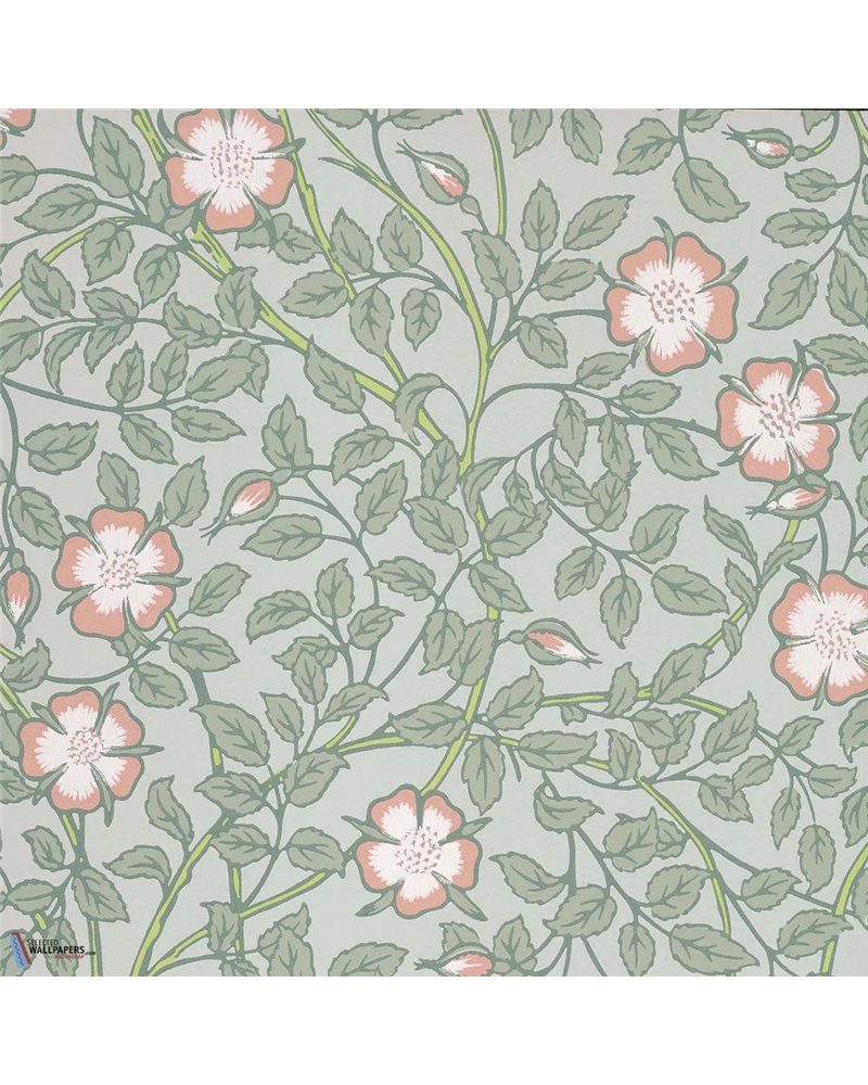 Briar Rose Salix 0263BRSALIX Briar Rose Salix 0263BRSALIX