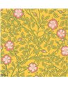Briar Rose Giallo Indiano 0263BRINDIA
