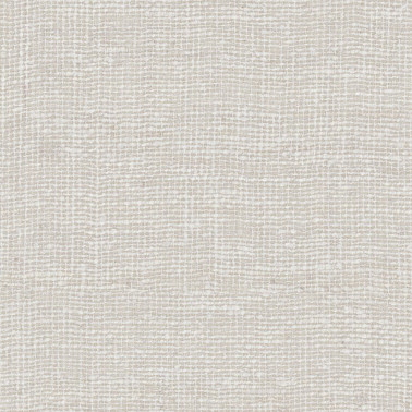 LS204