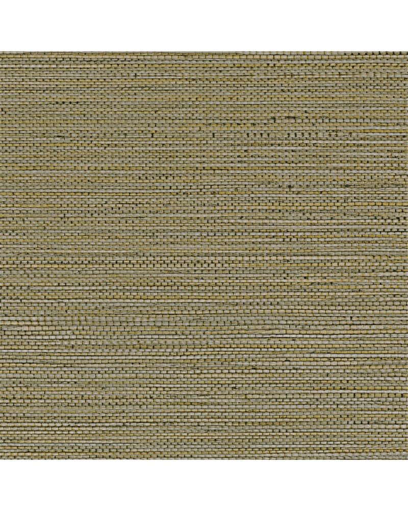 Zostera Kaki 75972242 Zostera Kaki 75972242
