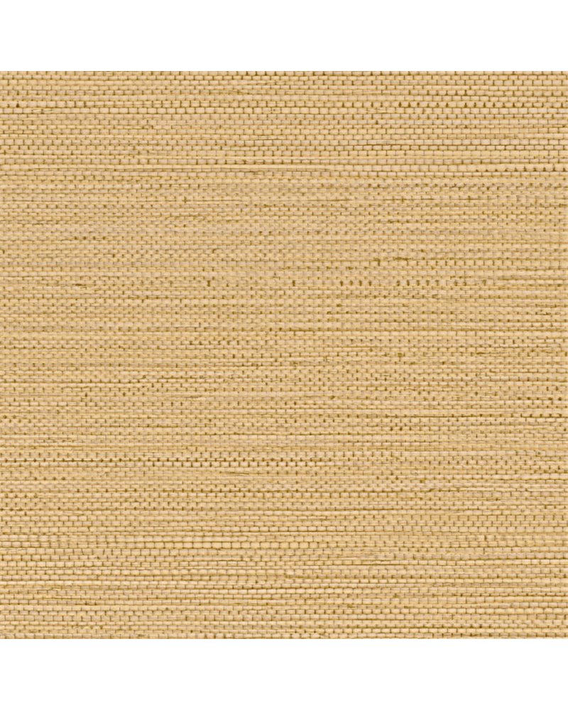 Zostera Paille 75971936 Zostera Paille 75971936