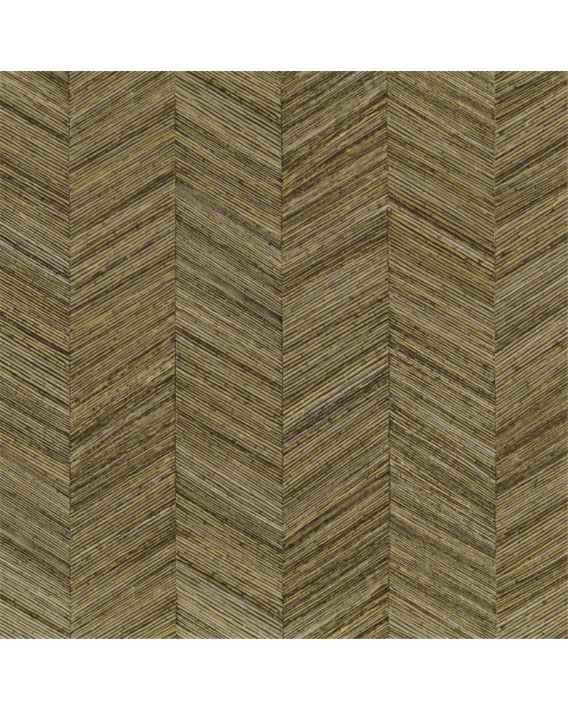 Ocotea Kaki 75371630 Ocotea Kaki 75371630